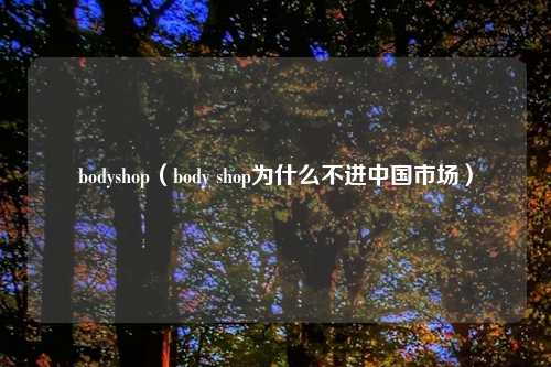 bodyshop（body shop为什么不进中国市场）