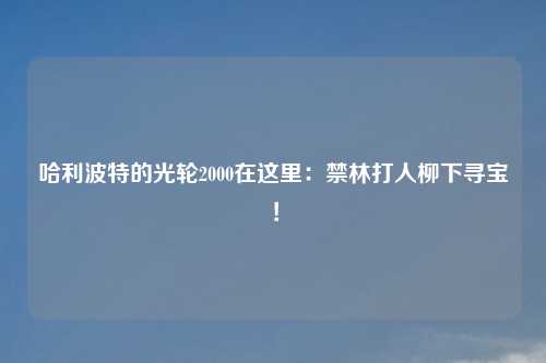 哈利波特的光轮2000在这里：禁林打人柳下寻宝！