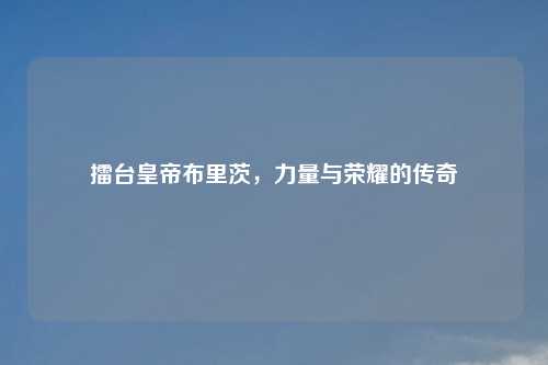 擂台皇帝布里茨，力量与荣耀的传奇
