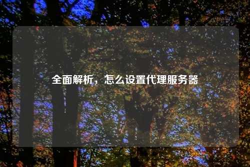 全面解析，怎么设置代理服务器