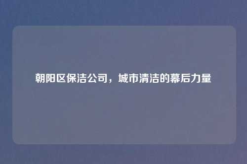 朝阳区保洁公司，城市清洁的幕后力量