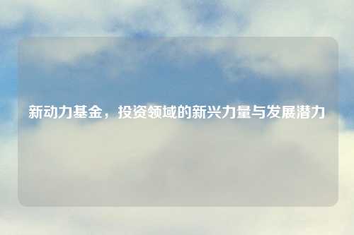 新动力基金，投资领域的新兴力量与发展潜力