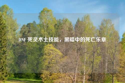 DNF 死灵术士技能，黑暗中的死亡乐章
