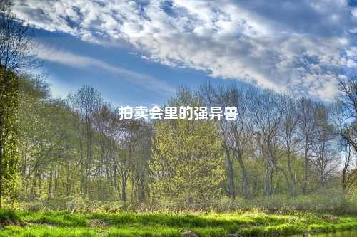 拍卖会里的强异兽
