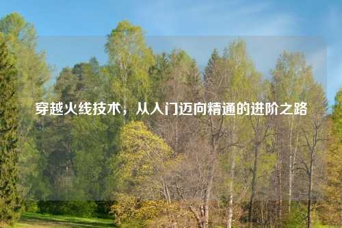 穿越火线技术，从入门迈向精通的进阶之路
