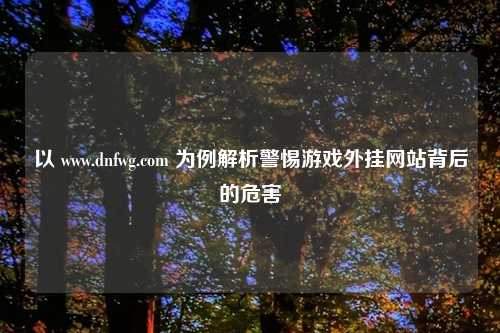 以 www.dnfwg.com 为例解析警惕游戏外挂网站背后的危害