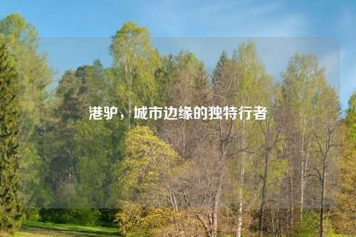港驴，城市边缘的独特行者