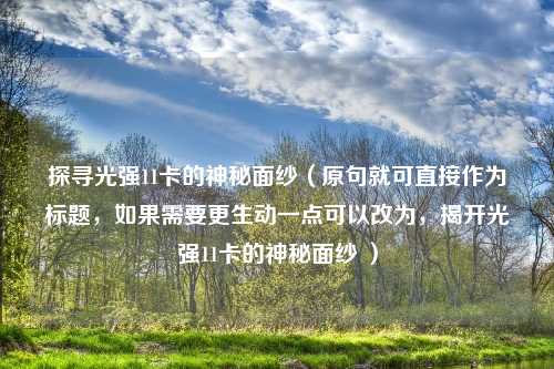 探寻光强11卡的神秘面纱（原句就可直接作为标题，如果需要更生动一点可以改为，揭开光强11卡的神秘面纱 ）