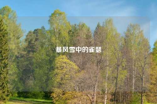 暴风雪中的雀瑟