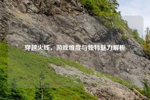 穿越火线，游戏维度与独特魅力解析