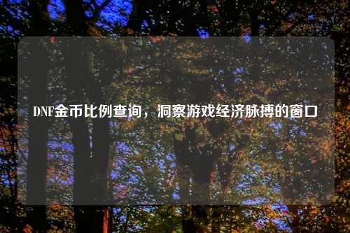 DNF金币比例查询，洞察游戏经济脉搏的窗口
