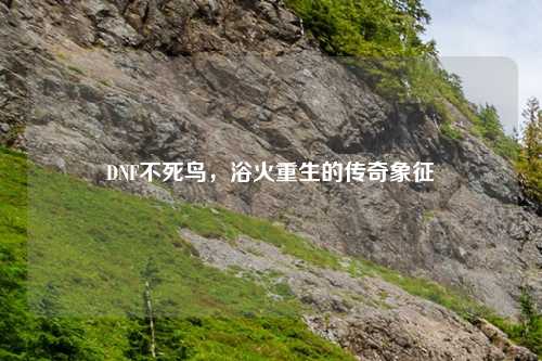 DNF不死鸟，浴火重生的传奇象征