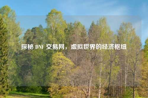 探秘 DNF 交易网，虚拟世界的经济枢纽