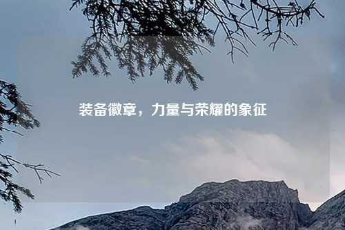 装备徽章，力量与荣耀的象征