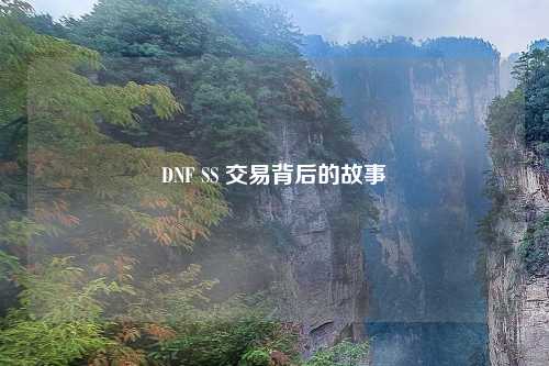 DNF SS 交易背后的故事