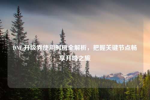 DNF 升级券使用时机全解析，把握关键节点畅享升级之旅