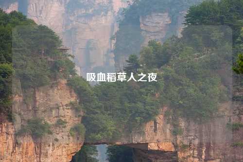 吸血稻草人之夜