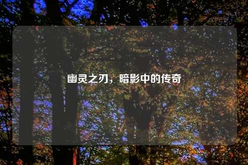 幽灵之刃，暗影中的传奇