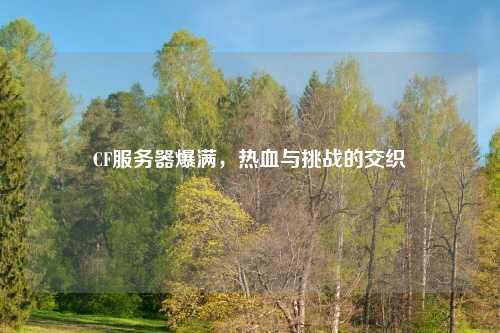 CF服务器爆满，热血与挑战的交织