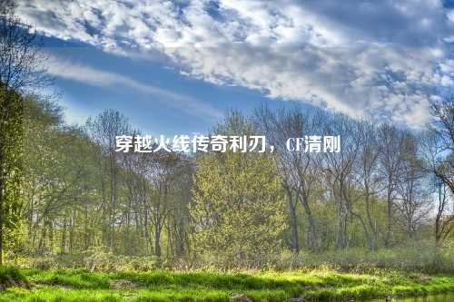 穿越火线传奇利刃，CF清刚
