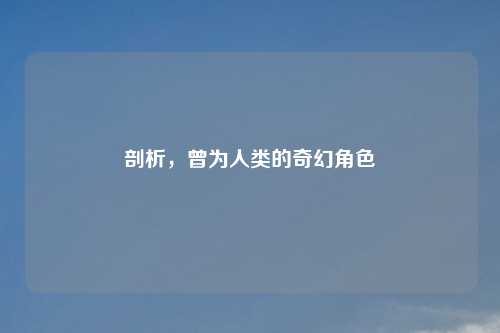 剖析，曾为人类的奇幻角色