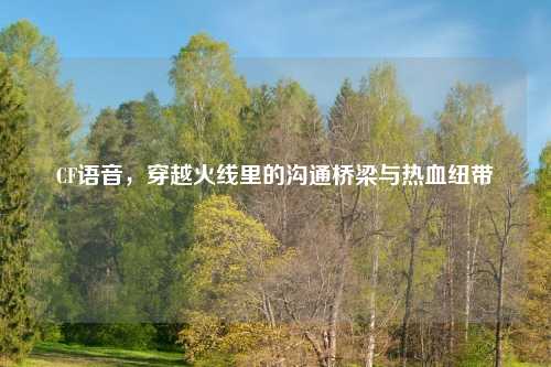 CF语音，穿越火线里的沟通桥梁与热血纽带