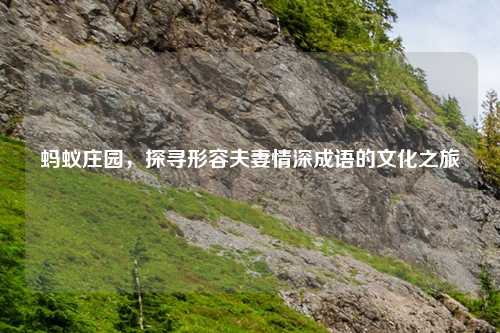 蚂蚁庄园，探寻形容夫妻情深成语的文化之旅