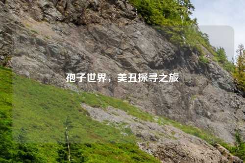 孢子世界，美丑探寻之旅