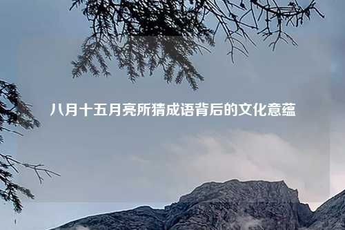 八月十五月亮所猜成语背后的文化意蕴
