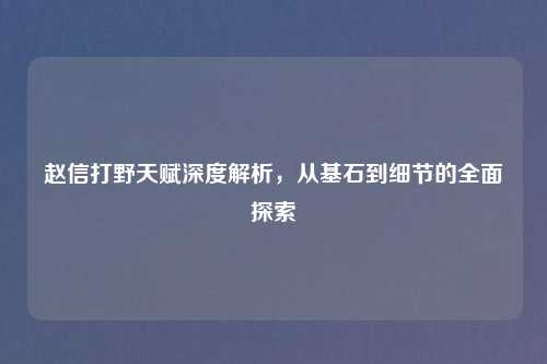 赵信打野天赋深度解析，从基石到细节的全面探索