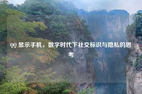 QQ 显示手机，数字时代下社交标识与隐私的思考