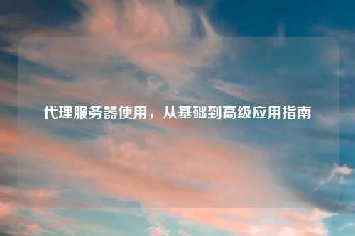 代理服务器使用，从基础到高级应用指南
