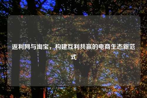 返利网与淘宝，构建互利共赢的电商生态新范式