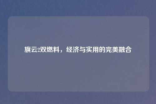 旗云2双燃料，经济与实用的完美融合