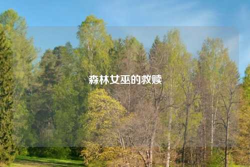 森林女巫的救赎