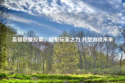 英雄联盟投票，凝聚玩家之力 共塑游戏未来