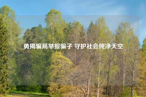 勇揭骗局举报骗子 守护社会纯净天空