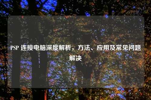PSP 连接电脑深度解析，方法、应用及常见问题解决