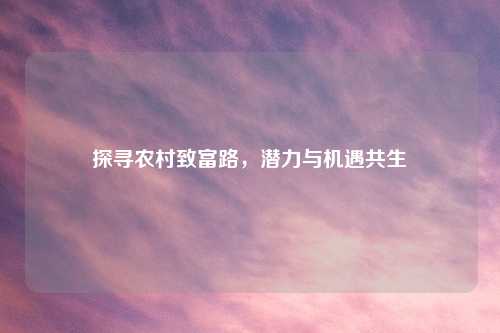 探寻农村致富路，潜力与机遇共生