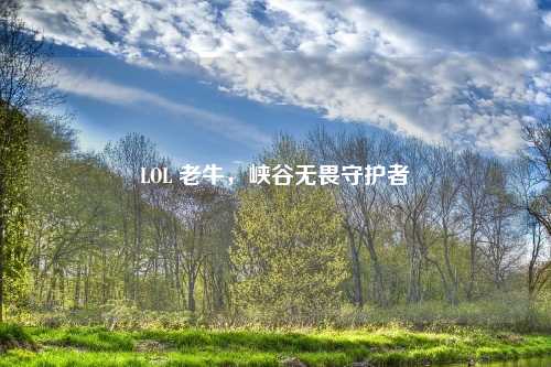 LOL 老牛，峡谷无畏守护者