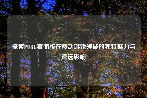 探索PUBG精简版在移动游戏领域的独特魅力与深远影响