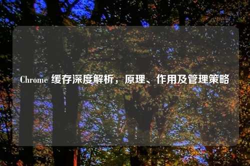 Chrome 缓存深度解析，原理、作用及管理策略