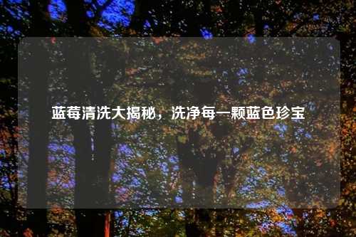 蓝莓清洗大揭秘，洗净每一颗蓝色珍宝