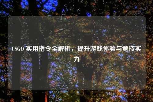 CSGO 实用指令全解析，提升游戏体验与竞技实力