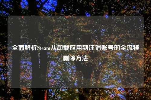 全面解析Steam从卸载应用到注销账号的全流程删除方法