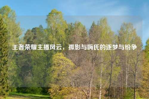 王者荣耀主播风云，孤影与嗨氏的逐梦与纷争