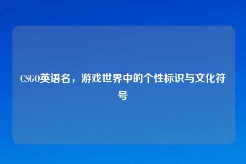 CSGO英语名，游戏世界中的个性标识与文化符号