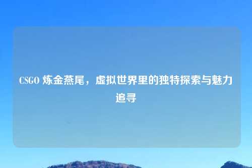 CSGO 炼金燕尾，虚拟世界里的独特探索与魅力追寻