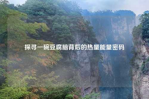 探寻一碗豆腐脑背后的热量能量密码