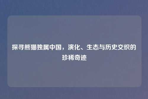 探寻熊猫独属中国，演化、生态与历史交织的珍稀奇迹